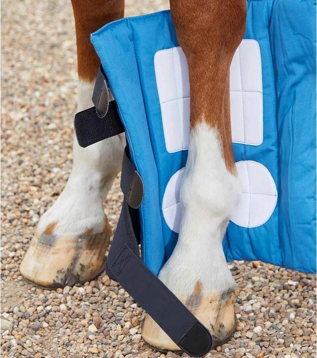 Actual product image Premier Equine Stable rest boots Magni-Teque Boot Wraps