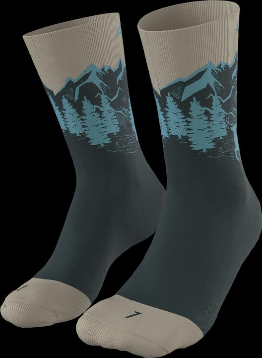 Image du produit Dynafit Chaussettes Stay Fast Unisexe (39 - 42)