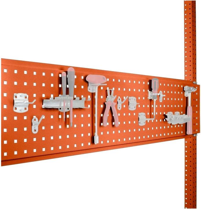 Image du produit Manuflex Plaque porte-outils pour largeur de table (Métal)