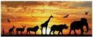 Actual product image Diamond Dotz African Sky