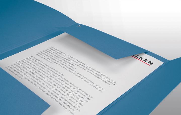 Image du produit Falken Dossier de classement, DIN A4, rabats, carton manila (A4, 1 x)