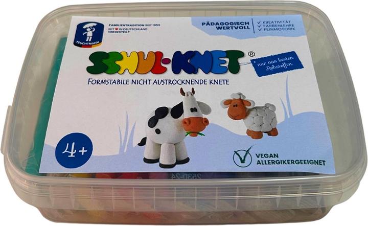 Immagine prodotto Feuchtmann Argilla da modellare per la scuola 10x 45g Big Schoolbox 10 colori
