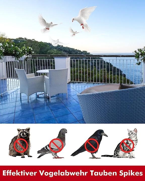 Actual product image Werkstein Bird Protection Pigeon Defence Spikes - Black (Set of 12)