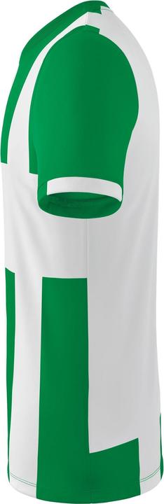 Actual product image Erima Siena 3.0 jersey (M)