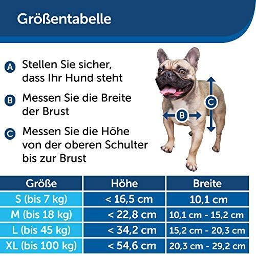 Immagine prodotto PetSafe Katzenklappe (Gattaiola manuale)