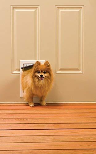 Immagine prodotto PetSafe Katzenklappe (Gattaiola manuale)