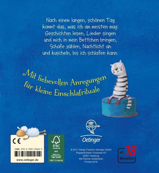 Actual product image Wie kleine Kinder schlafen gehen (German, Anne Cristina ZurBrugge, 2017)