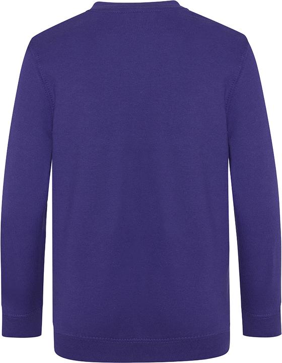 Produktbild Awdis Academy Junior Schul Sweatshirt mit VAusschnitt (128)