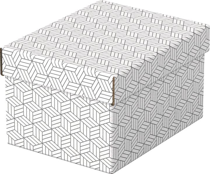 Immagine prodotto Esselte HOME - Scatole di stoccaggio (20 x 15 cm)