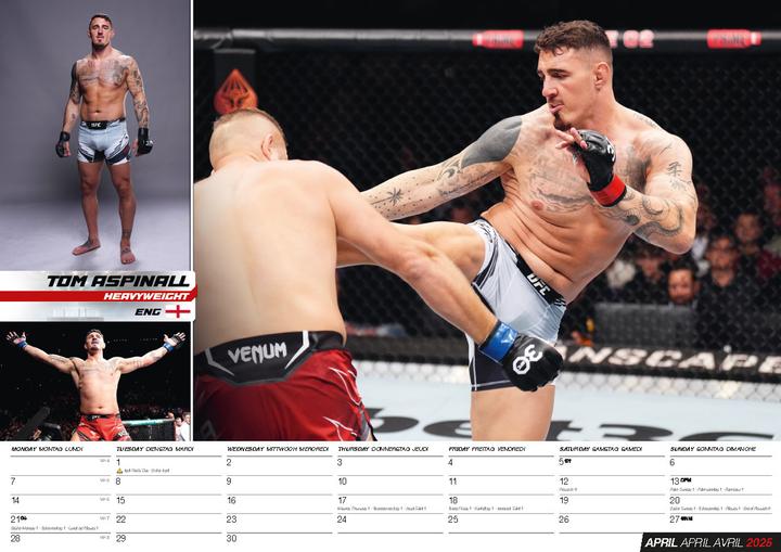 Image du produit Calendrier MMA 2025 (42 x 30 cm, Allemand)
