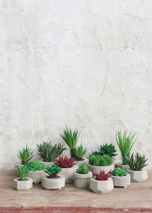 Immagine prodotto ASA Selection ASA Maxi succulenta appesa I in grigio con accento rosso 10,5cm (100 cm)