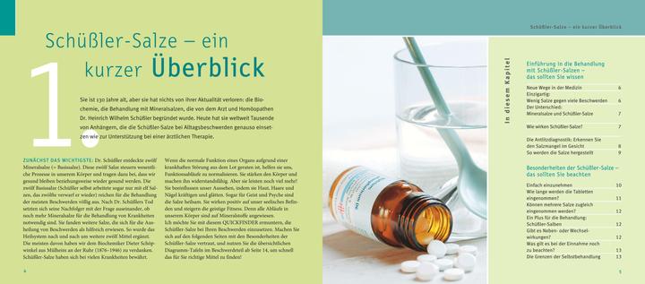 Produktbild Schüssler-Salze, Quickfinder (Deutsch, Günther H. Heepen, 2018)