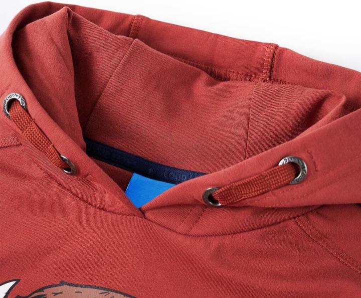 Image du produit VidaXL Sweat à capuche enfant rouge foncé 116,Matériau : 95 (116)