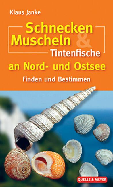 Produktbild Schnecken, Muscheln & Tintenfische an Nord- und Ostsee (Deutsch, Klaus Janke, Thomas Borchardt, Gerald Millat, 2010)