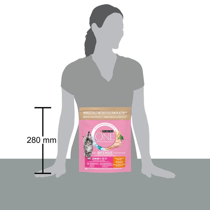 Image du produit Purina ONE Fourrage séché (Junior, 1 pcs, 800 g)