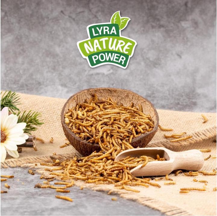 Produktbild Lyra Pet Mehlwürmer getrocknet (1 x)