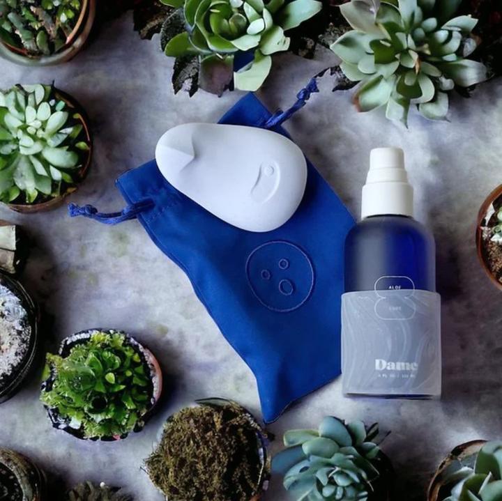 Produktbild Dame Products Pom Flexible Vibrator Ice