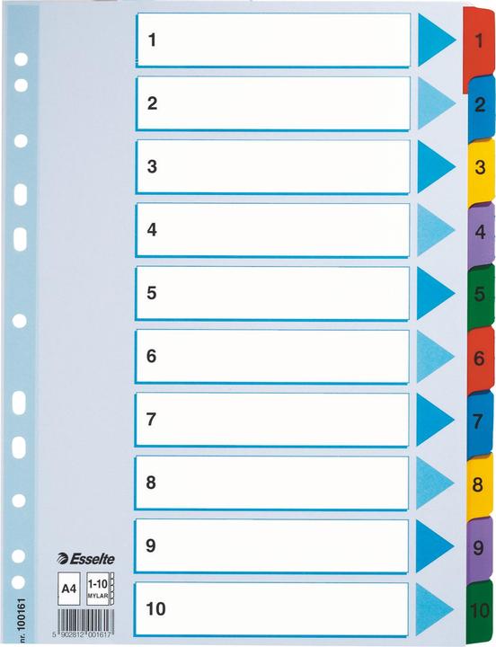 Actual product image Esselte Cardboard register Mylar, various designs, single