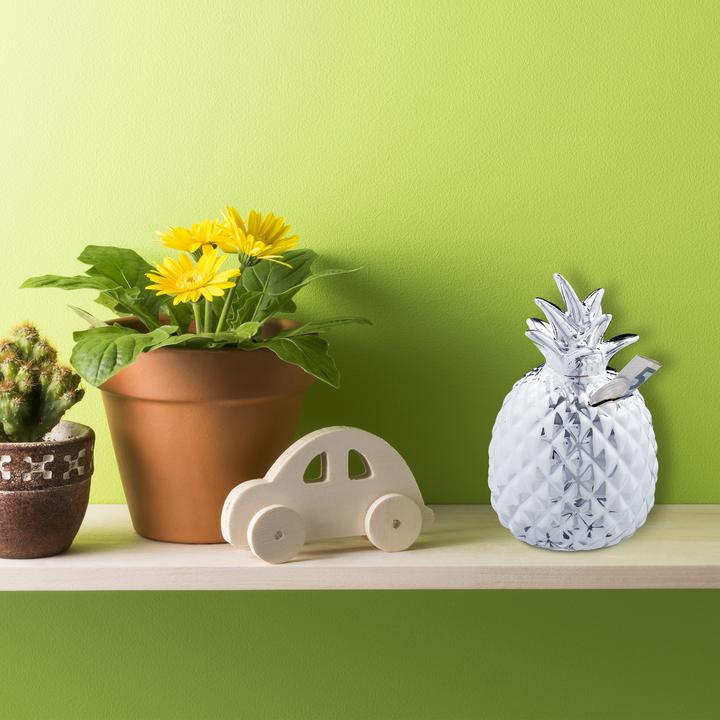 Image du produit Relaxdays Tirelire ananas (9 x 9 x 16 cm)