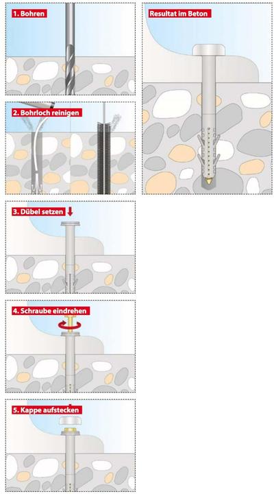 Actual product image Tox Toilet attachment Toilet XL Cap 2 pieces (2 pcs.)