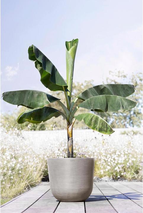 Produktbild Ecopots Oslo (45 cm)