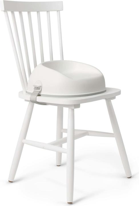 Actual product image BabyBjörn booster seat (Table seat)