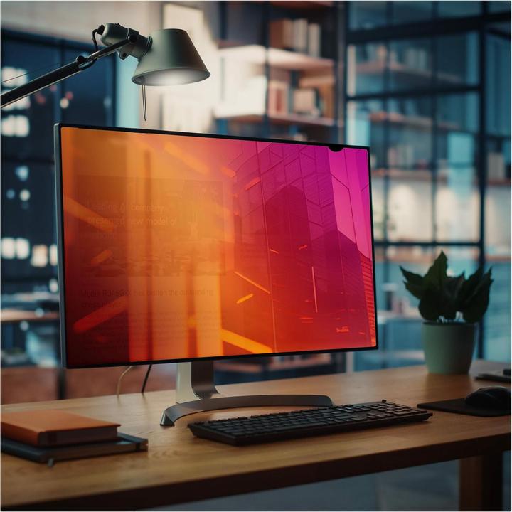 Image du produit StarTech com 2469G-PRIVACY-SCREEN, 61 cm (24"), 16:9, Moniteur, Filtre de confidentialité sans (24.02", 16 : 9)