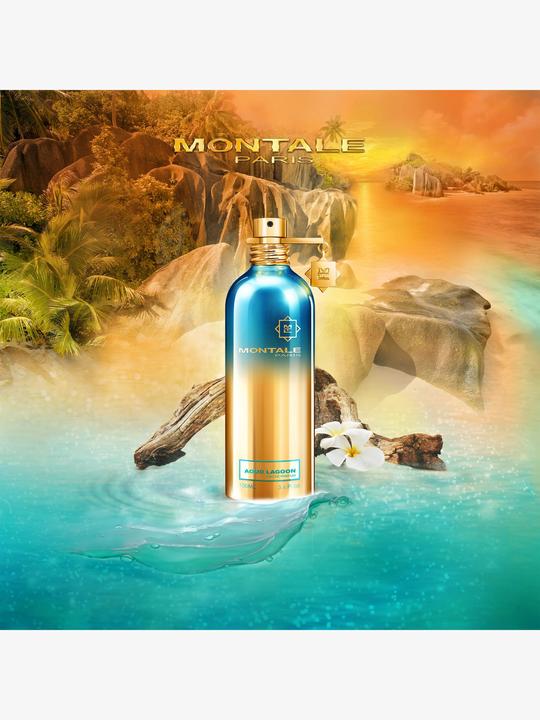 Produktbild Montale Aoud Lagoon (Eau de Parfum, 100 ml)