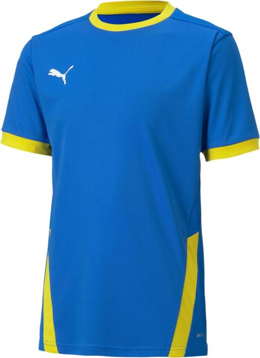Image du produit Puma teamGOAL 23 Jersey jr-704160 (176)