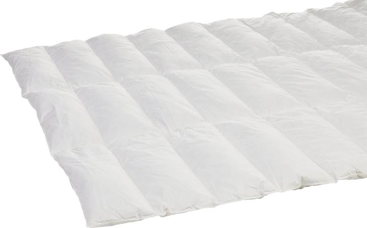 Image du produit micasa PRIMADAUN warm (1450 g, 160 x 210 cm)
