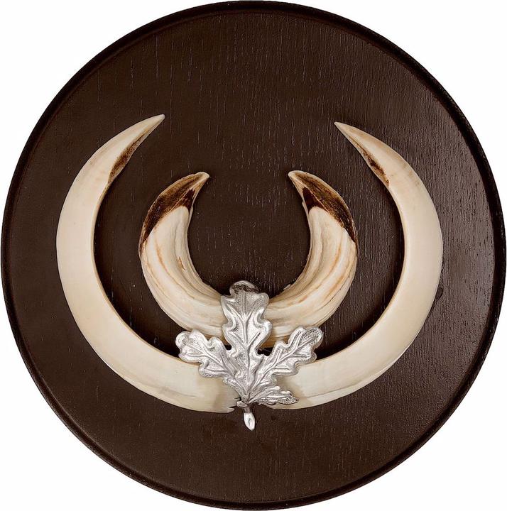 Actual product image Seeland Wild boar trophy plate
