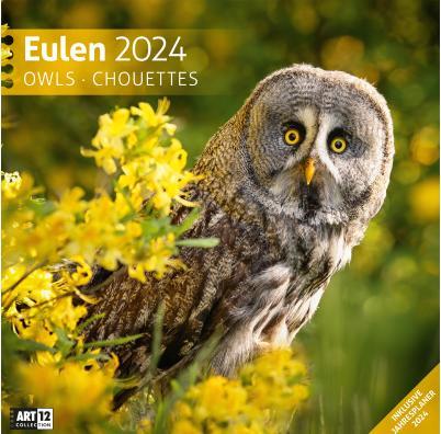 Image du produit Calendrier Hiboux 2024 - 30x30 (30 x 30 cm, Allemand)
