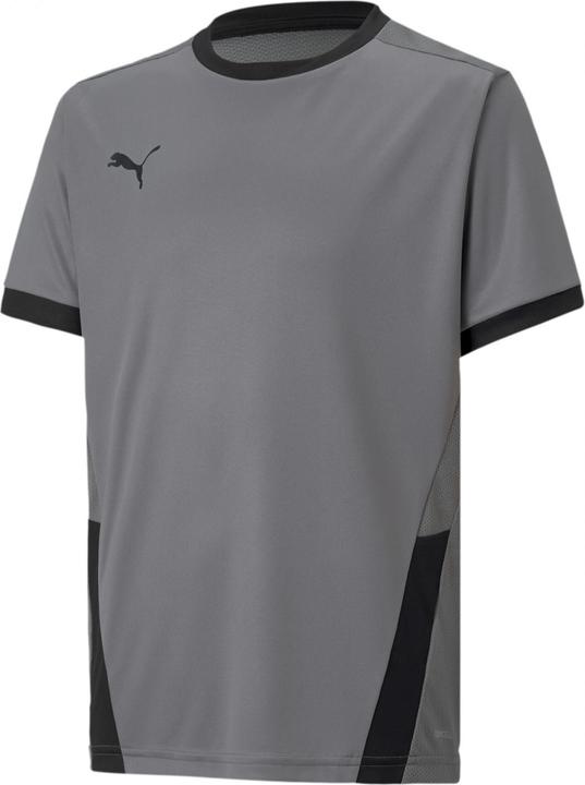 Image du produit Puma teamGOAL 23 Jersey jr-704160 (176)