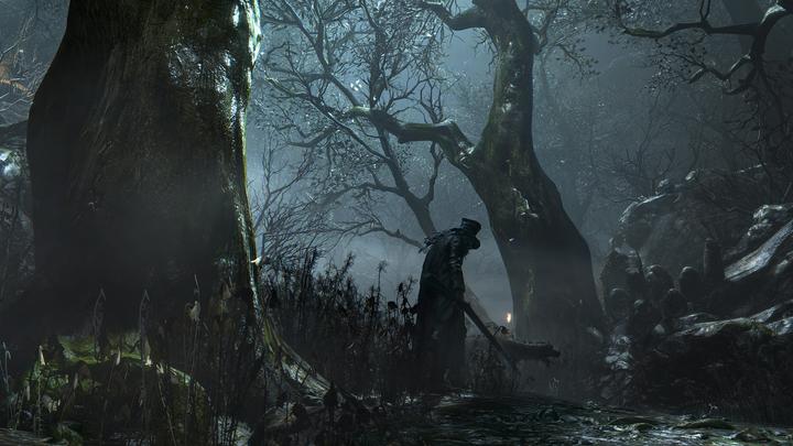 Actual product image Sony Bloodborne GOTY Edition (PS4, Multilingual)