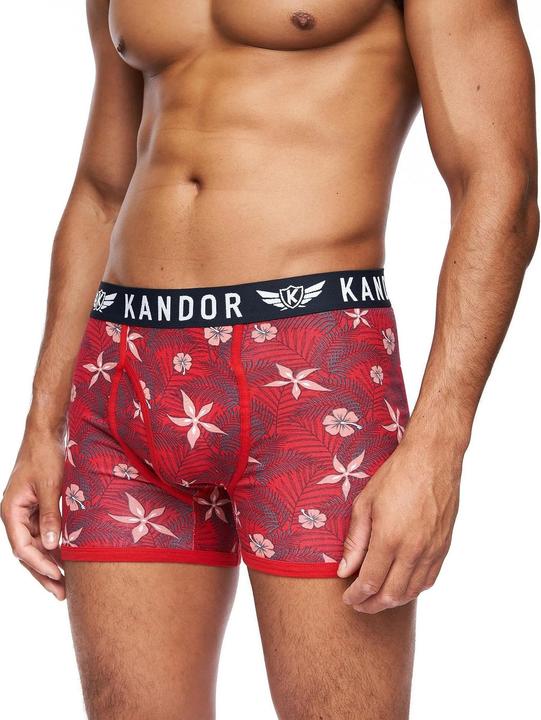 Immagine prodotto Kandor Florid Boxer Uomo Misura Confezione 7 (S, Confezione da 7)