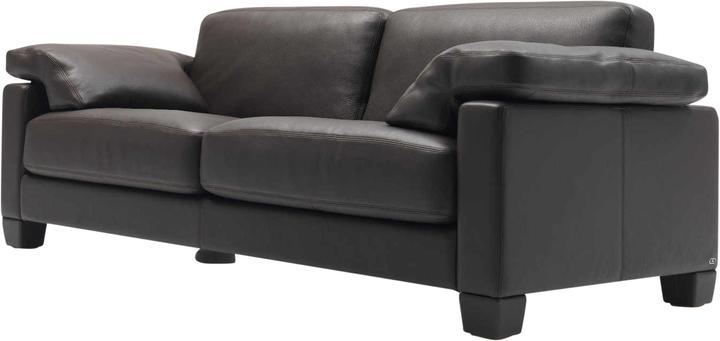 Image du produit De Sede Ds-17/123 Canapé (2,5 places)