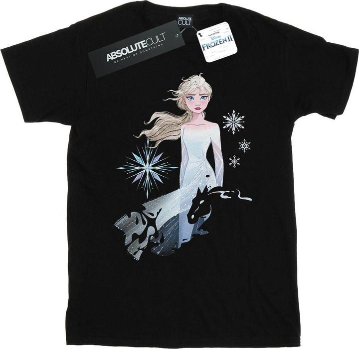 Actual product image Disney Mens Frozen 2 Elsa Nokk Silhouette T-Shirt (4XL)