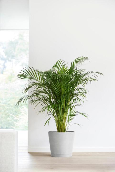 Produktbild Ecopots Venice (40 cm)