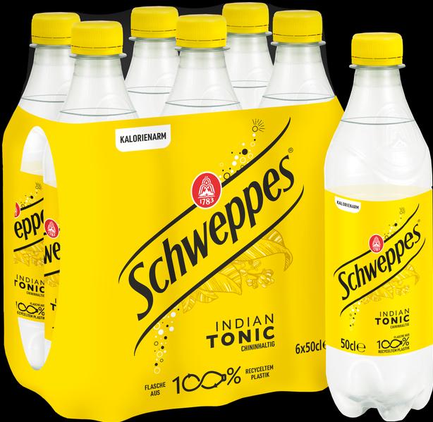 Actual product image Schweppes Indian Tonic (24 x 50 cl)
