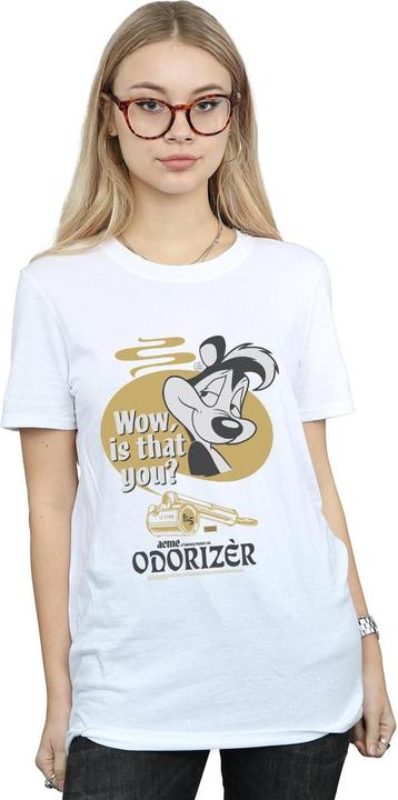 Actual product image Looney Tunes Womens/Ladies Pepe Le Pew Odorizer Cotton Boyfriend T-Shirt (XXL)