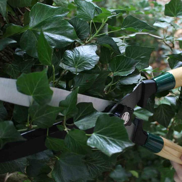Produktbild Siena Garden Heckenschere mit Wellenschl. (Handheckenschere)