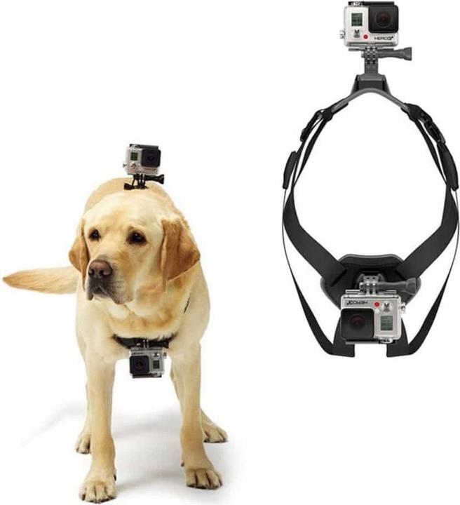 Produktbild Ueli Express GoPro Hunde Halterung (1, 3, 4, 9, SJ4000, Hero Session, GoPro Hero 11)