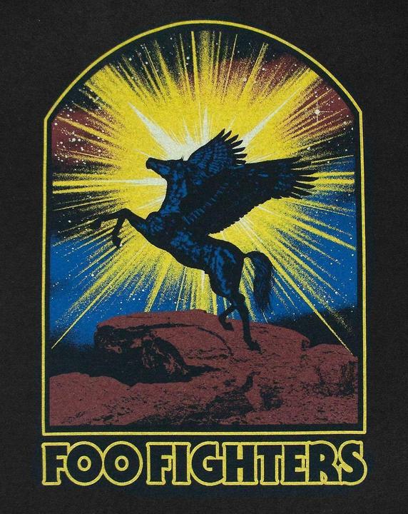 Immagine prodotto Foo Fighters Maglietta Cavallo Uomo (S)