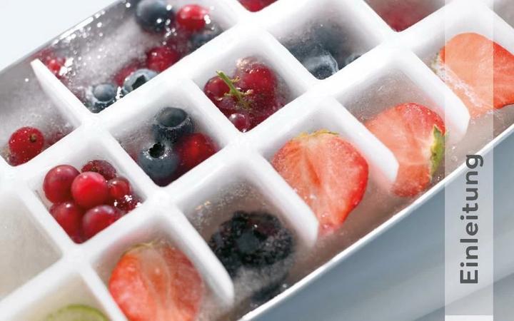 Actual product image Smoothies, Shakes & Co (German, 2023)