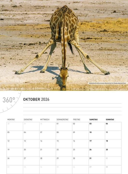 Image du produit NamibieCalendrier en brochure2026 (Allemand)
