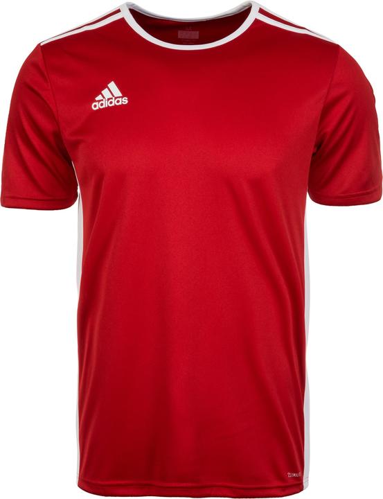 adidas Entrada 18 Calcio (S)