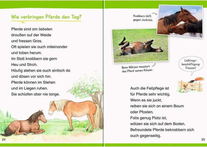 Produktbild Ravensburger Kinder-Sachbuch WWW Erstleser: Pferde – Band 6 (Deutsch, Silke Voigt, Carola von Kessel, 2022)