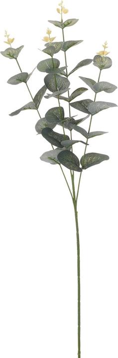 Immagine prodotto Casativo Ramo di eucalipto artificiale con fiori