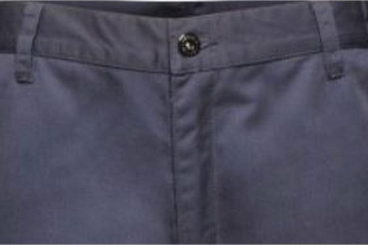 Actual product image Regatta Pro CargoShorts (58)