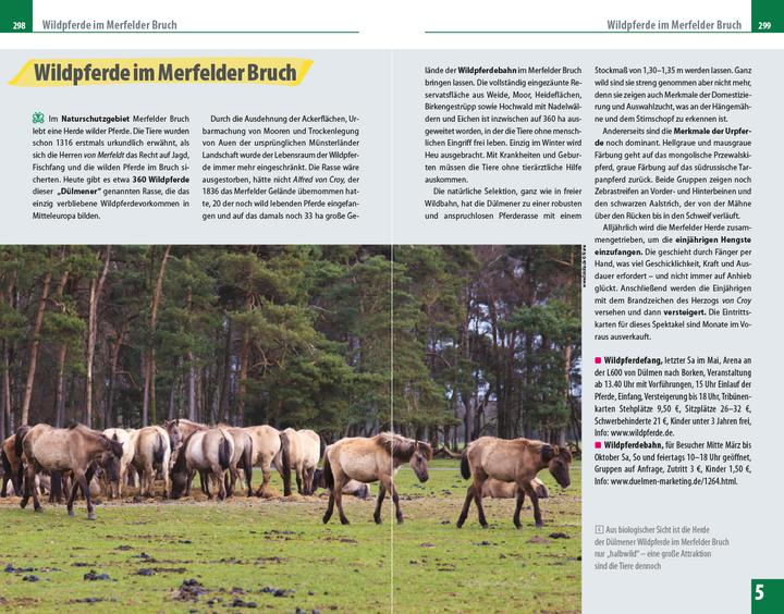 Produktbild Reiseführer Münsterland (Deutsch, Hans Otzen, Barbara Otzen, 2021)